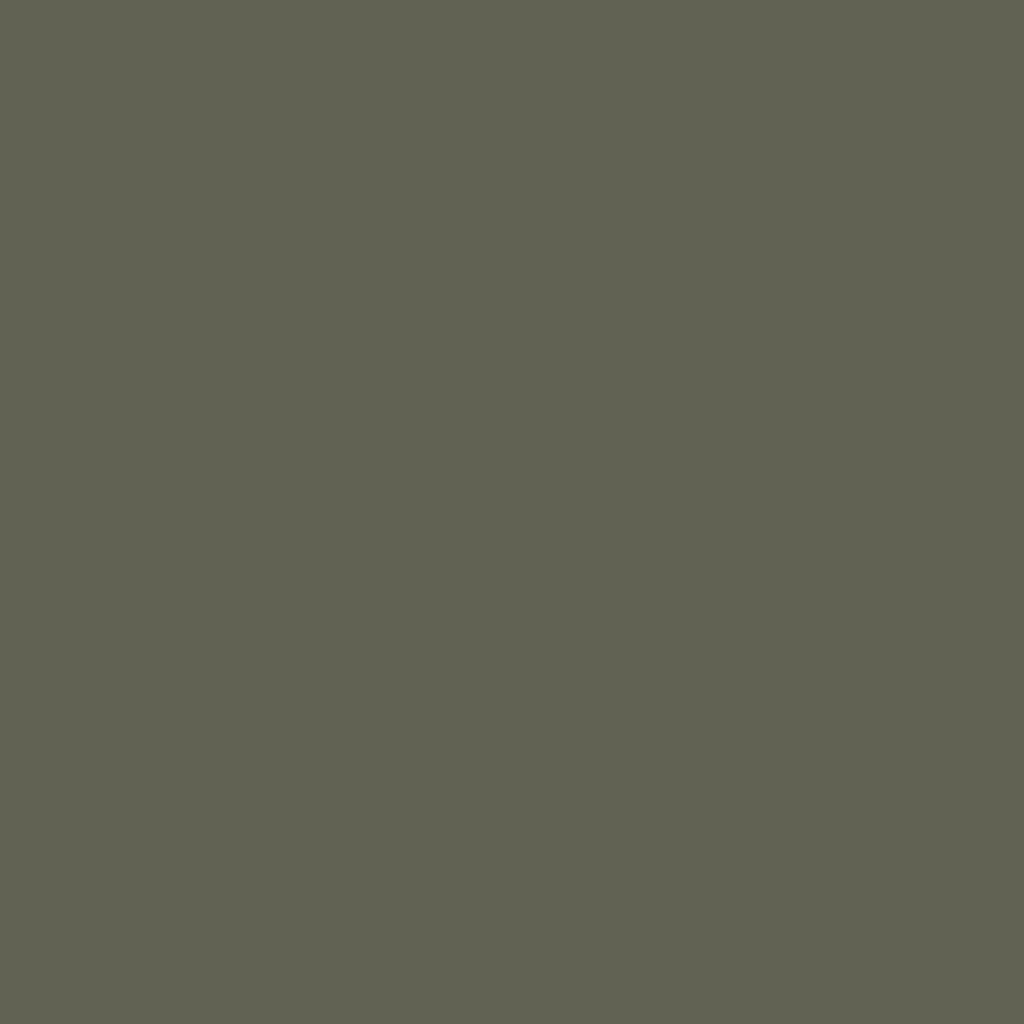2140-30 Dark Olive - Paint Color