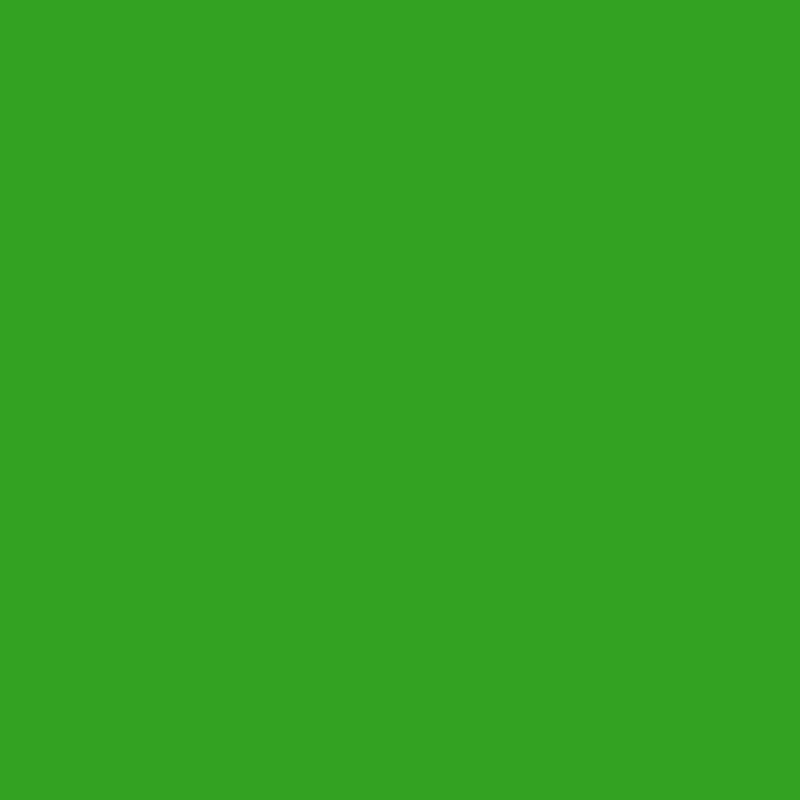 2030-10 Lizard Green